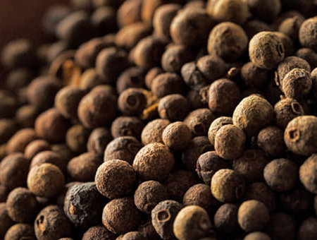 Organic Black Peppercorns in a Bowl. Selective focus.の写真素材