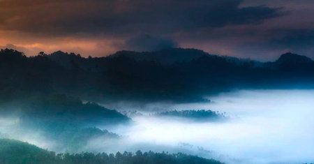 Landscape of beautiful foggy mountain in the morning, Thailand.