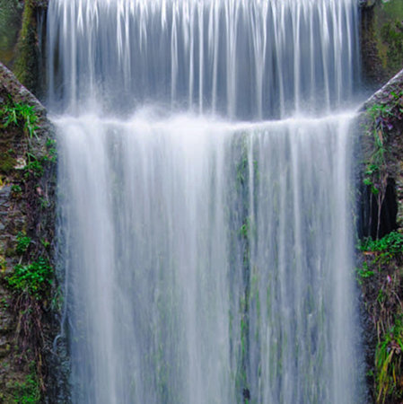 Waterfall in the forest. Waterfall in the forest. Nature background