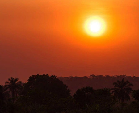 Sunset in the jungle of Borneo, Sabah, Malaysiaの写真素材