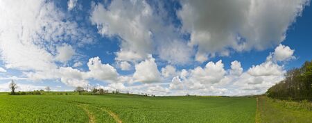 Idyllic rural view of pretty farmland with white fluffy clouds, in the beautiful surroundings of the Cotswolds, England, UK.の写真素材