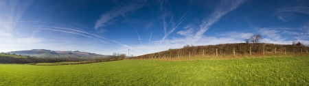 Idyllic rural view of pretty farmland.の写真素材