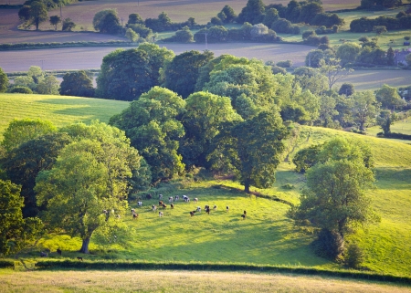Idyllic rural view of gently rolling patchwork farmland and villages with pretty wooded boundaries, in the beautiful surroundings of the Cotswolds, England, UK.の写真素材