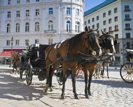 Spanish Riding School built in 1735 as an extension to the Hofburg Palace complex (13th Century), Vienna.の写真素材