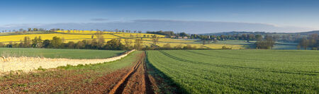 Gently rolling hills, ploughed field and traditional drystone wall leading to vibrant yellow crop of canola grownの写真素材