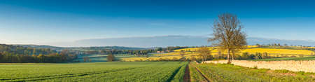 Gently rolling hills, ploughed field and traditional drystone wall leading to vibrant yellow crop of...