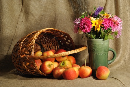 The autumn flowers and red applesの写真素材