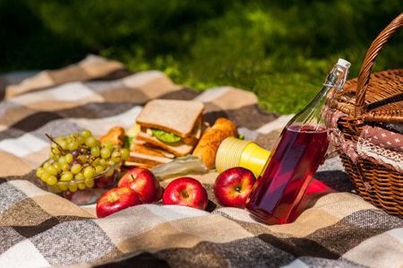 Set for a picnic, fruit and sandwiches with wine on the rugの写真素材