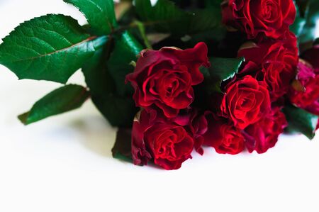 Bouquet of fresh roses, flower bright background.の写真素材