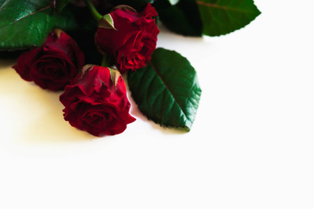 Bouquet of fresh roses, flower bright background.の写真素材