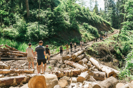 People walking through forest. hiking. The people walks a path in a hilly forest, back viewの写真素材