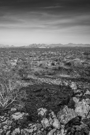 black and white of the pheonix arizona desert landscapeの写真素材