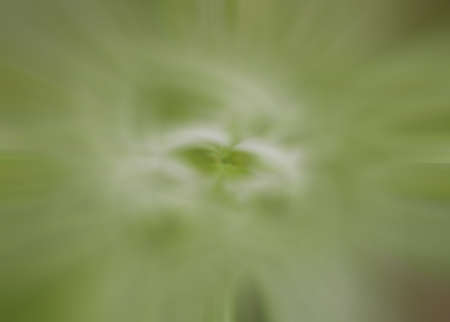 background design abstract textureの写真素材