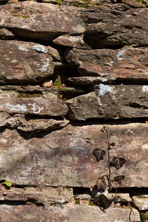 Old Rock wall