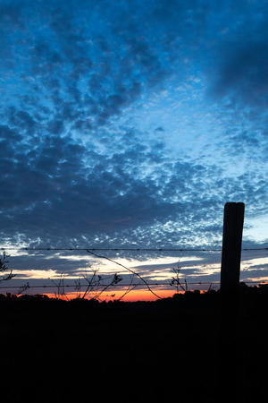 morning sunrise sky on a cattle farmの写真素材