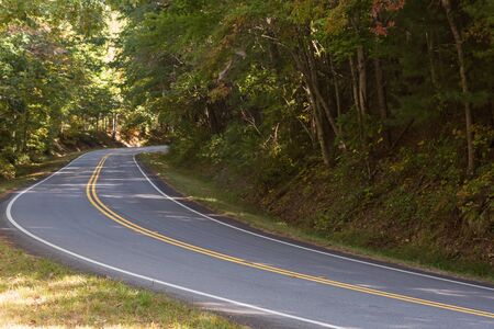 Early fall mountain road in the north georgia forest