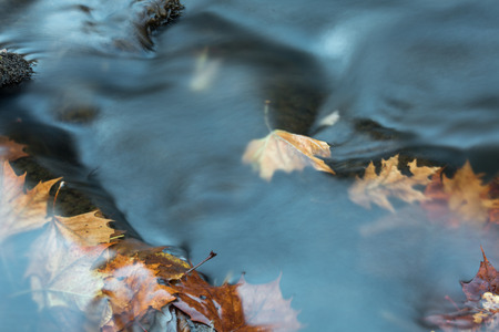 Fall creek in Roswell Georgiaの写真素材