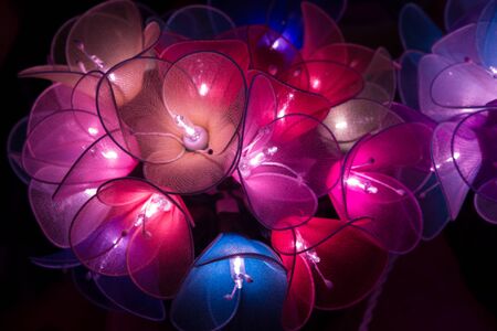 Multi-colored flower lights in hanging cluster in the dark glowing nicely.  These cute and adorable mood lights create nice emotional love.  Copy space.の写真素材