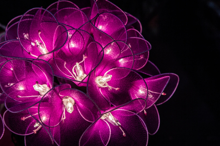 Purple mood lights in a bunch with love and feeling of warmth and peaceful emotion to create a nice mood lighting for girls bedroom.  Soft aura.  Copyspace.の写真素材