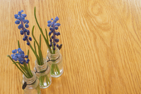 Spring flowers spa concept with purple and blue decorated flowers in individual vases with wooden table texture background and copyspace.の写真素材