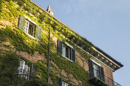 Typical rome apartment home with vines growing on brick and living standard in Europe in urban city with copyspace.の写真素材