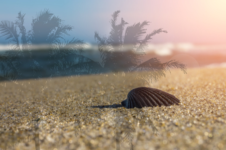 Shell in focus on beach sand with waves in the distance.  Jersey shore holiday vacation travel concept with overlay.の写真素材