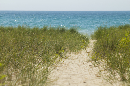 secluded beach path for travel lonely beach vacation.  Copyspace for words.の写真素材