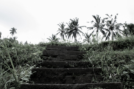 Visit bali and see tourist destinations and adventure into the tropical mountains in this warm paradise.の写真素材