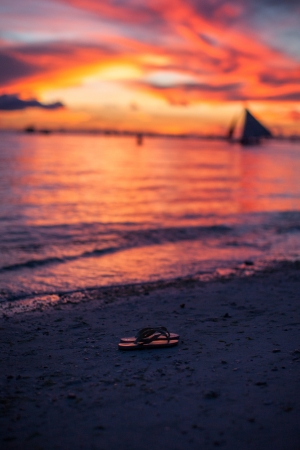 Close-up of shale at sunset in Boracay island on Philippinesの写真素材