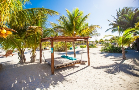 Beach beds and hammocks among palm trees at perfect tropical coast