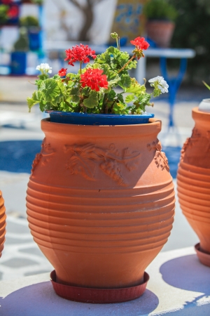 traditional greek red flowerpot with flowers ,Santorini island,Greeceの写真素材