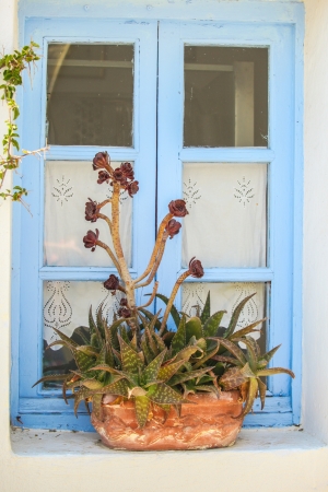Greek style windows with flowerpot on himの写真素材