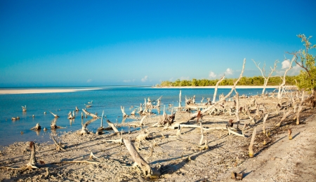 exotic view of the Gulf of Mexico on the island Holboxの写真素材