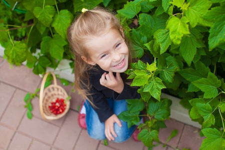Portrait of cute little girl in the garden with basket of berriesの写真素材
