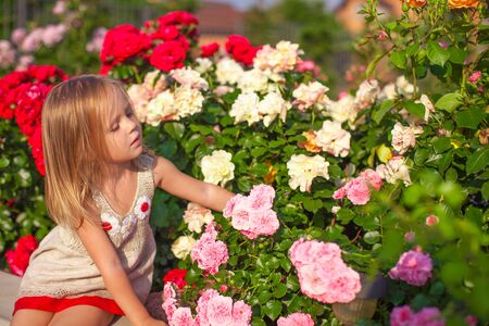 Little adorable girl sitting near colorful flowers in the gardenの写真素材