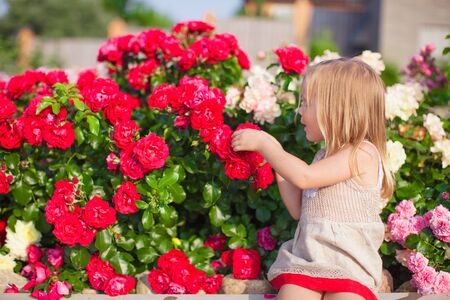 Little girl smelling colorful flowers at summer day in the yardの写真素材