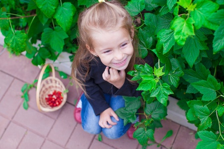 Portrait of cute little girl in the garden with basket of berriesの写真素材