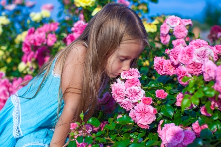 Little adorable girl smelling colorful flowers at summer dayの写真素材