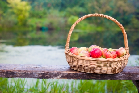 Close up of Big straw basket with red and yellow apples on a bench by the lakeの写真素材