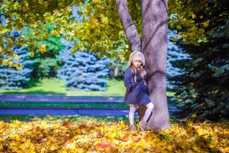 Little beautiful girl on the autumn meadow near big maplr in a sunny fall dayの写真素材
