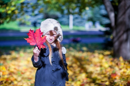 Close-up red maple leaf in the hands of little girl on beautiful fall dayの写真素材