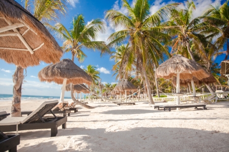 Chaise lounges under an umbrella on sandy beachの写真素材