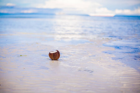 Coconut on tropical beach with white sand in a sunny dayの写真素材