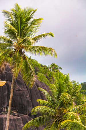 Large smooth monumental boulders in the Seychellesの写真素材