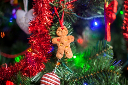 Gingerbread man in the christmas treeの写真素材