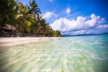 Tropical perfect beach with green palms,white sand and turquoise water