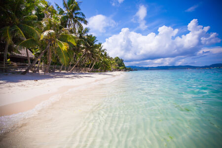 Panoramic view of perfect beach with green palms,white sand and turquoise waterの写真素材