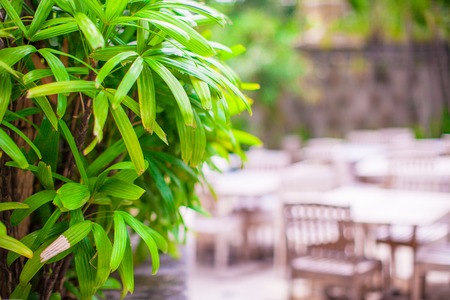 Hotel patio with wooden furnitureの写真素材