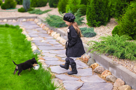 Adorable girl playing with small puppy in the gardenの写真素材