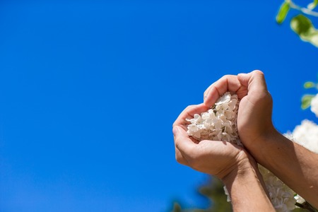 Closeup of man hands holding white lilac flower form heart shapeの写真素材